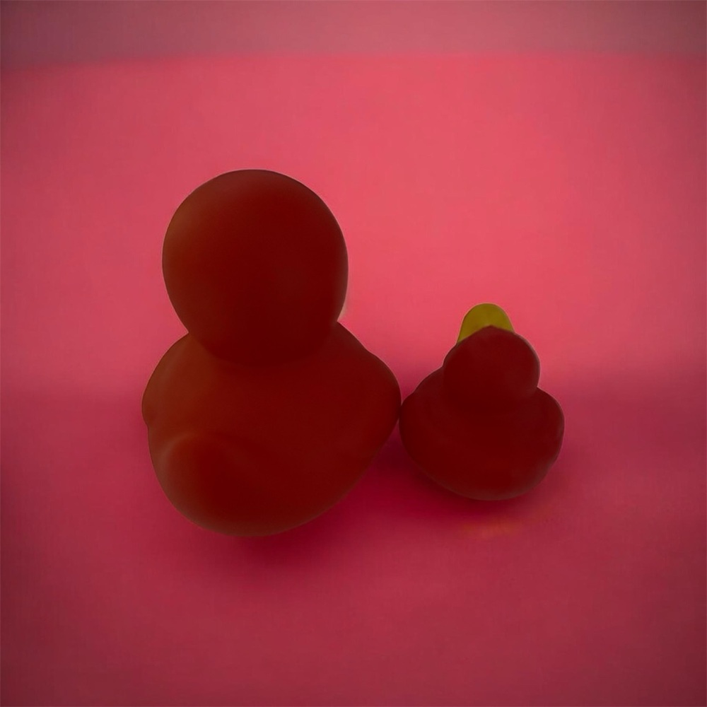 Red Rubber Duck Set - Picture 2 of 2